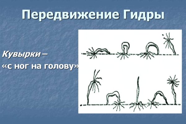 Kraken рабочее зеркало onion