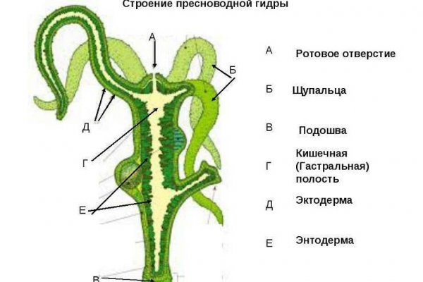 Ссылка на кракен krakens13 at